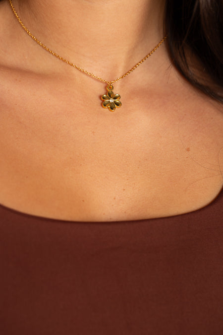 Colar Daisy - Colar Dourado Lucky Bijoux